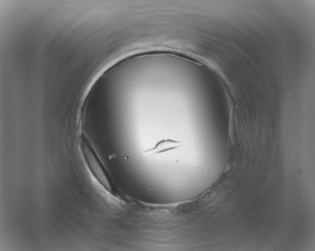 X0000053071524200507251446