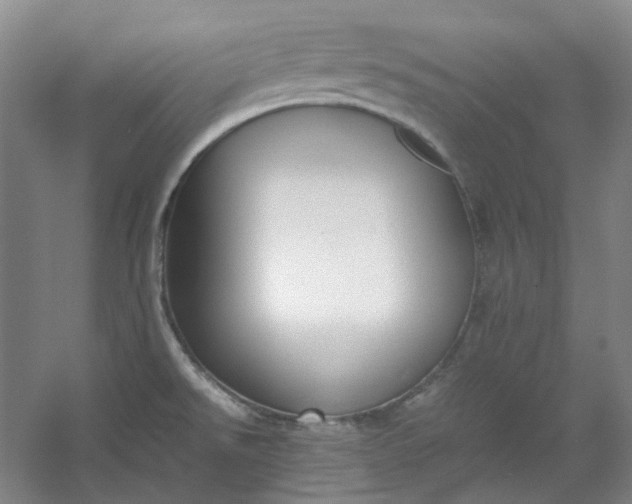 X0000053071526200507251446