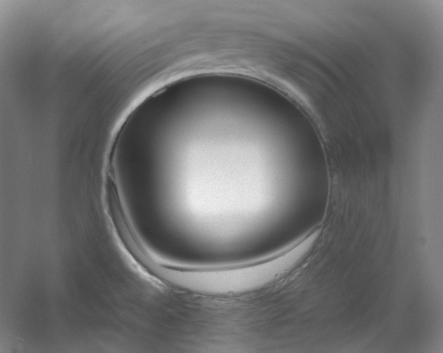 X0000053071528200507251446