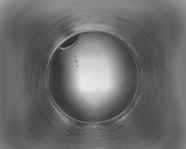 X0000053071529200507251446