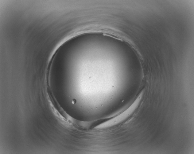 X0000053071530200507251446