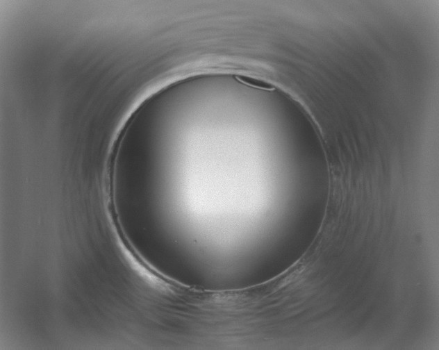 X0000053071531200507251446