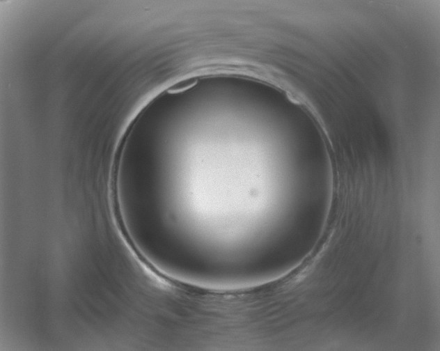 X0000053071533200507251446