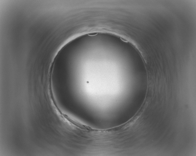 X0000053071534200507251446