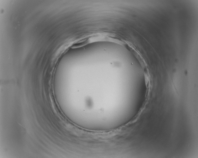 X0000053070001200508011952