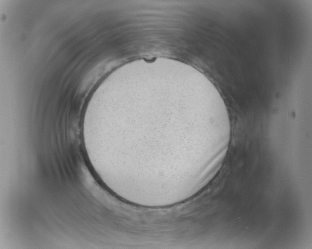 X0000053070002200508011952