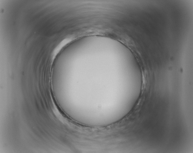 X0000053070003200508011952