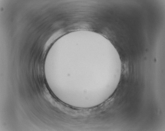 X0000053070004200508011952