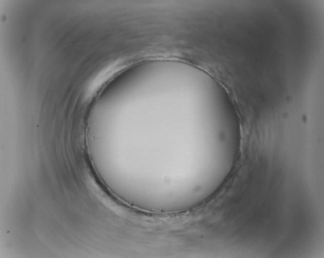 X0000053070005200508011952