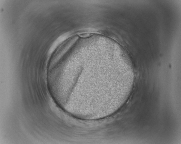 X0000053070006200508011952