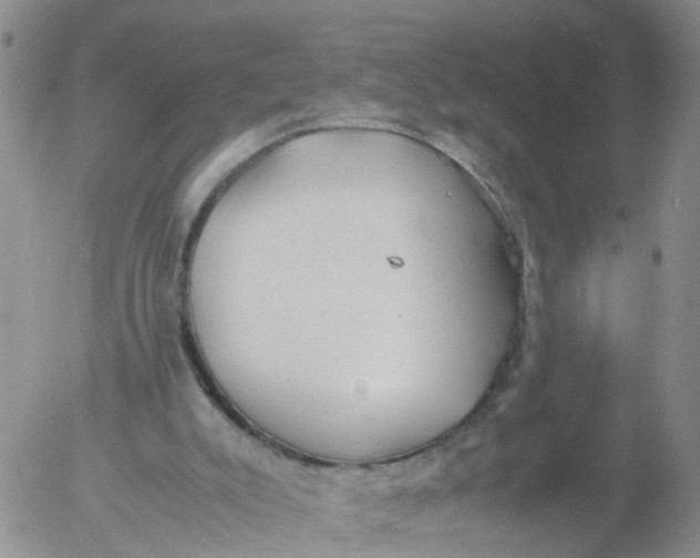 X0000053070007200508011952