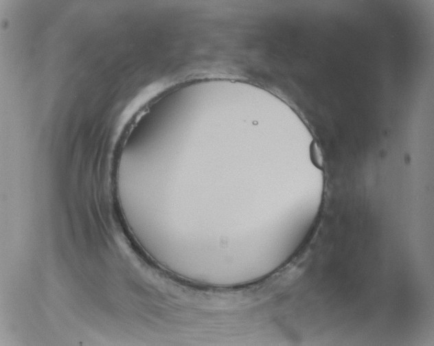 X0000053070008200508011952