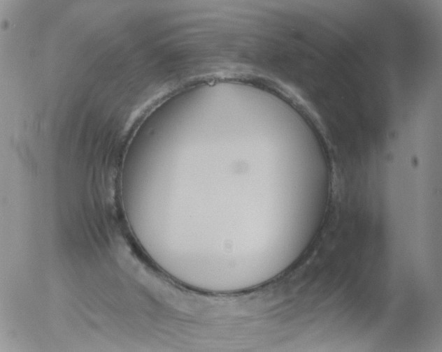 X0000053070010200508011952