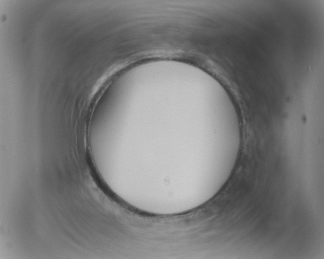 X0000053070011200508011952