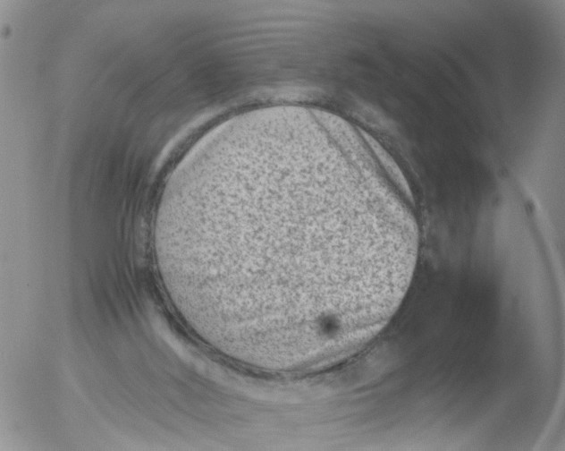 X0000053070012200508011952