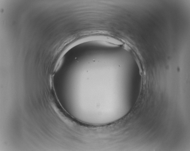 X0000053070013200508011952