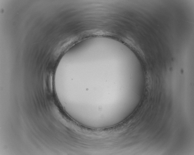 X0000053070014200508011952