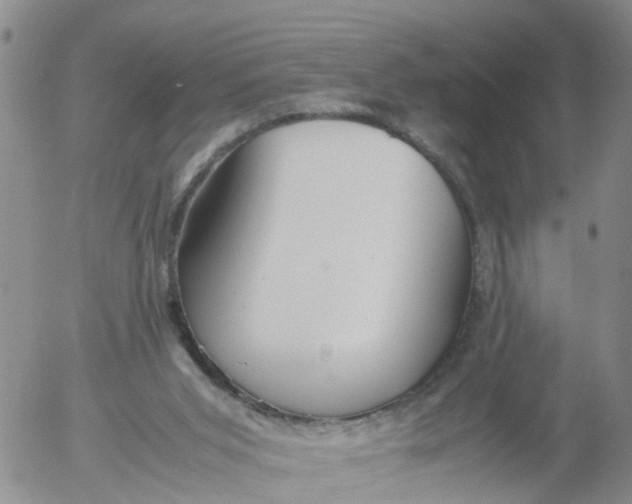 X0000053070015200508011952