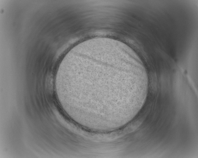 X0000053070016200508011952