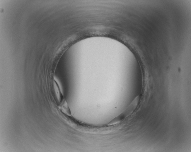 X0000053070017200508011952