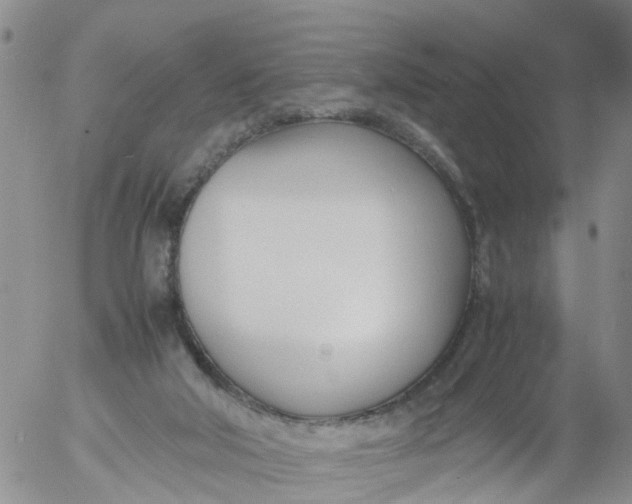 X0000053070018200508011952