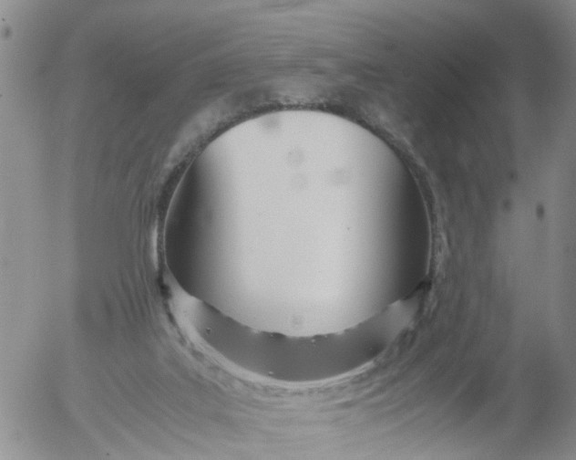 X0000053070019200508011952