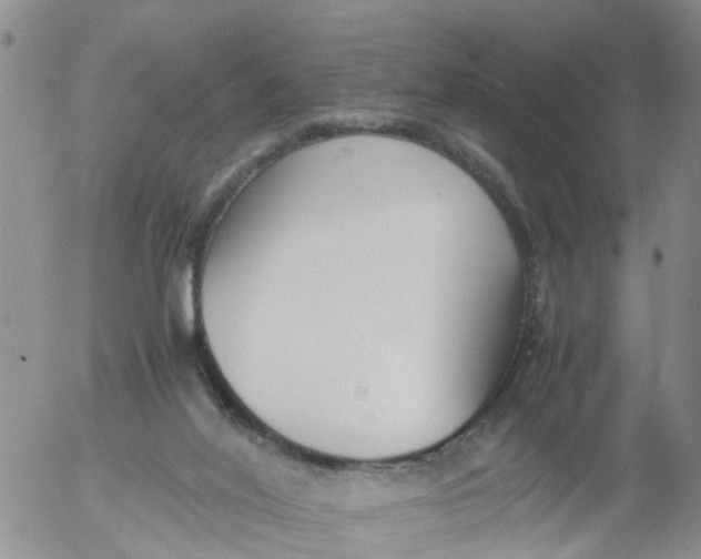 X0000053070020200508011952