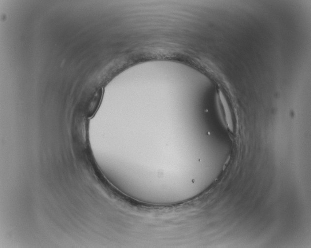 X0000053070021200508011952