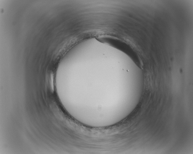 X0000053070022200508011952