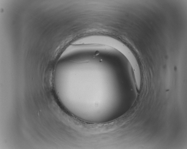 X0000053070023200508011952