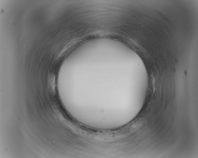 X0000053070024200508011952