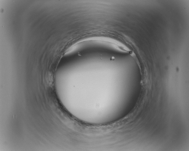 X0000053070025200508011952