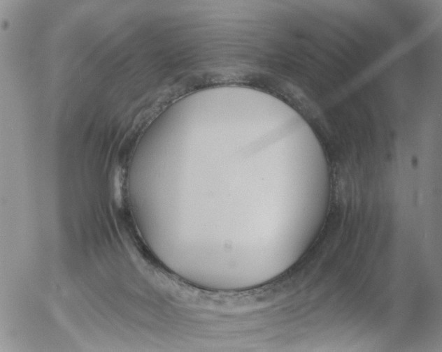 X0000053070026200508011952