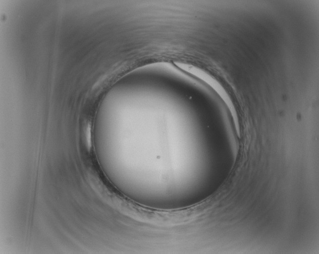 X0000053070027200508011952