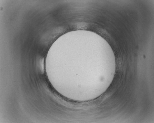 X0000053070028200508011952