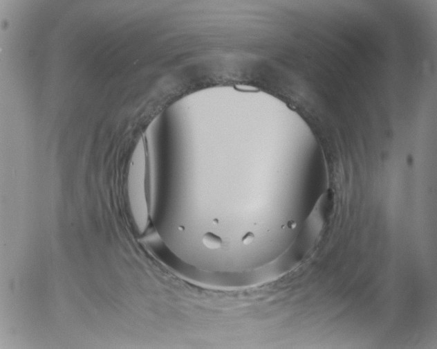 X0000053070029200508011952