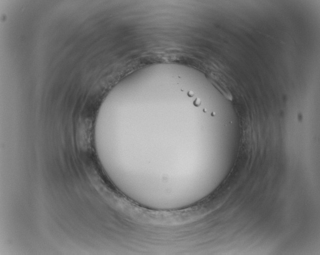 X0000053070030200508011952