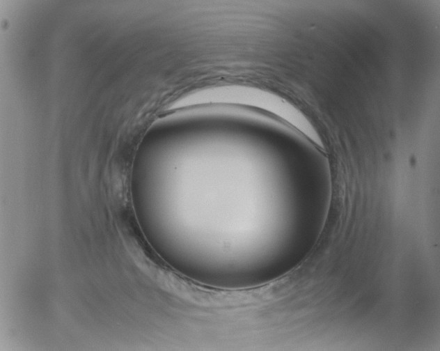 X0000053070031200508011952