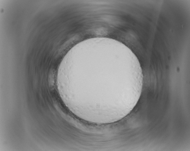 X0000053070032200508011952