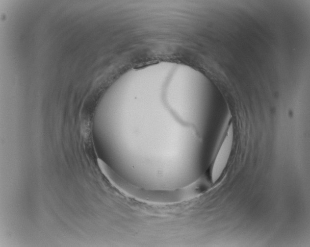 X0000053070033200508011952