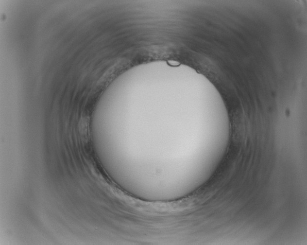 X0000053070034200508011951