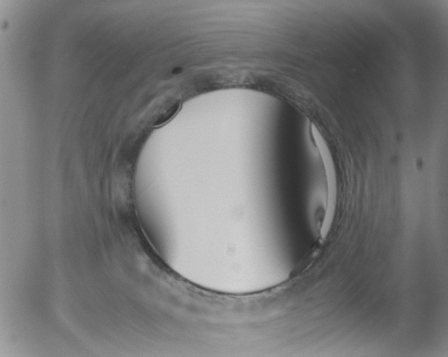 X0000053070035200508011951