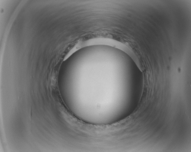 X0000053070037200508011951