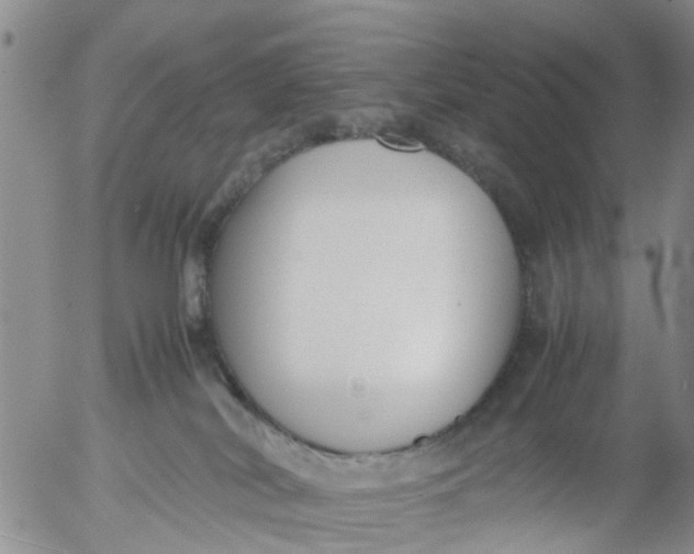 X0000053070038200508011951