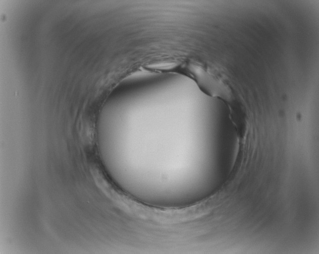 X0000053070039200508011951