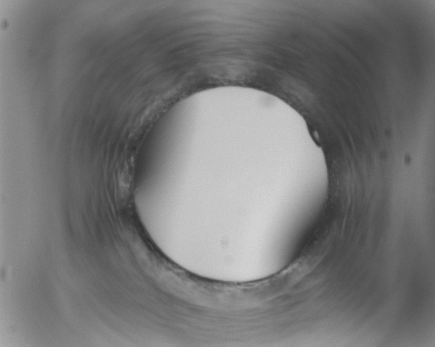 X0000053070040200508011951