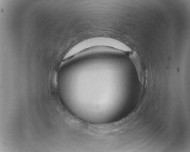 X0000053070041200508011951