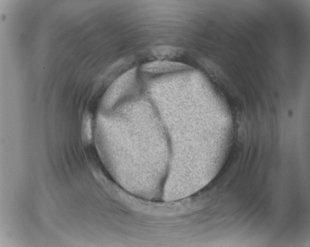 X0000053070042200508011951