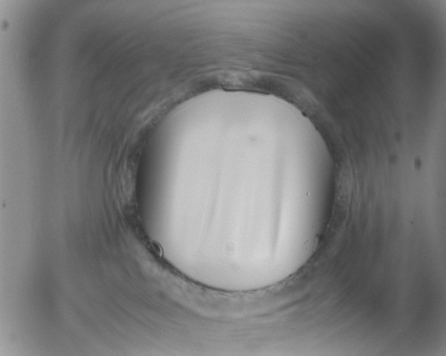 X0000053070043200508011951