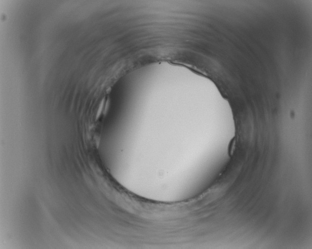 X0000053070044200508011951